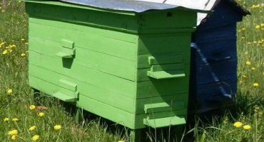 Jaké typy úlů existují? Jejich výhody a nevýhody